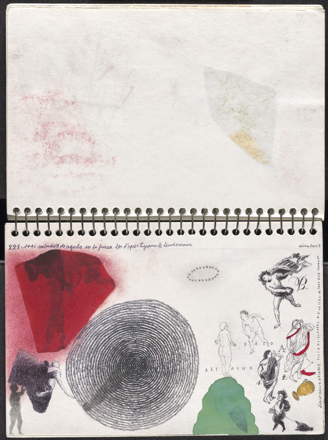 José Antonio Suárez Londoño. Metamorphoses Ovid II (Metamorfosis Ovidio II). 2003