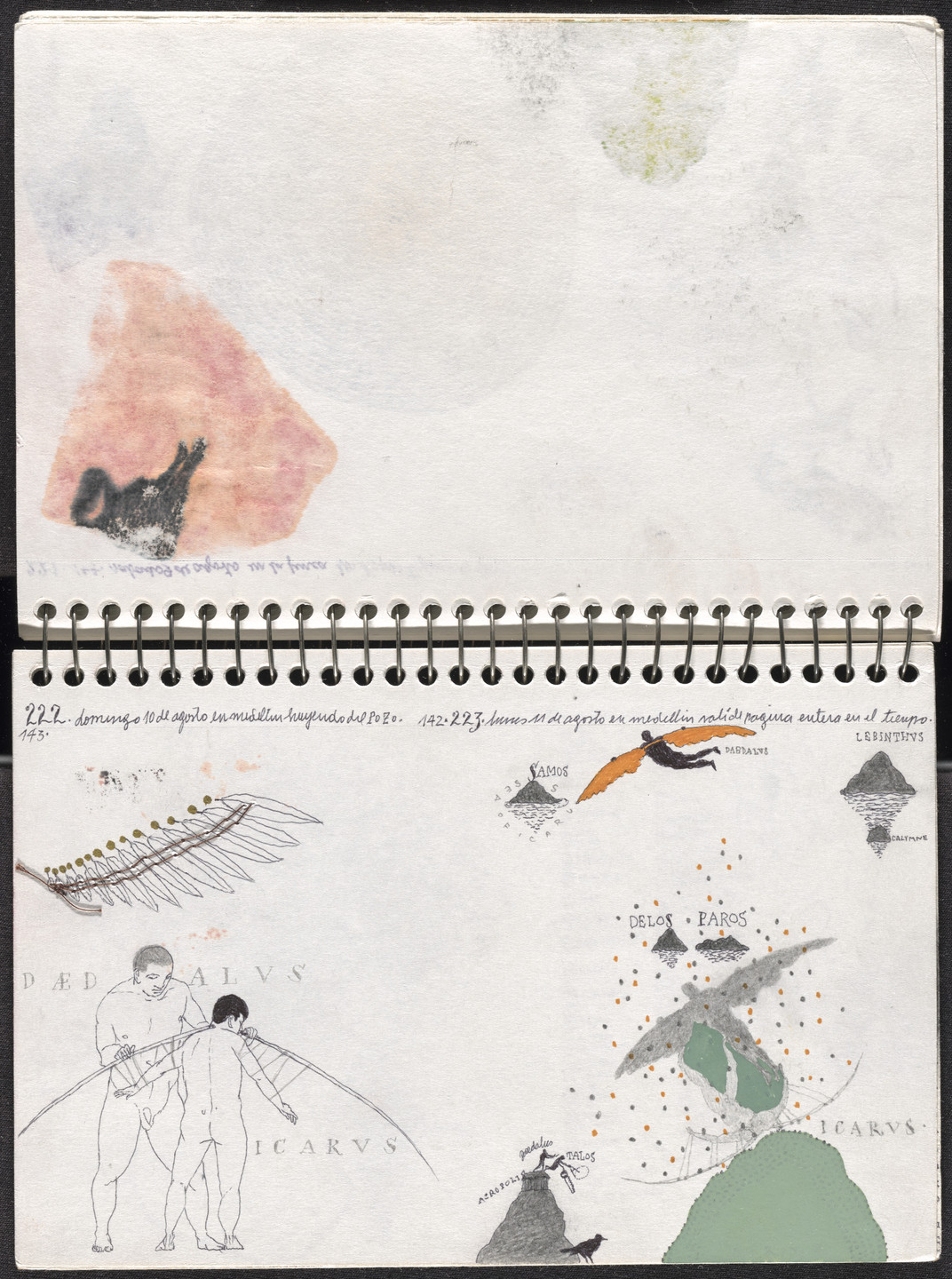 José Antonio Suárez Londoño. Metamorphoses Ovid II (Metamorfosis Ovidio II). 2003