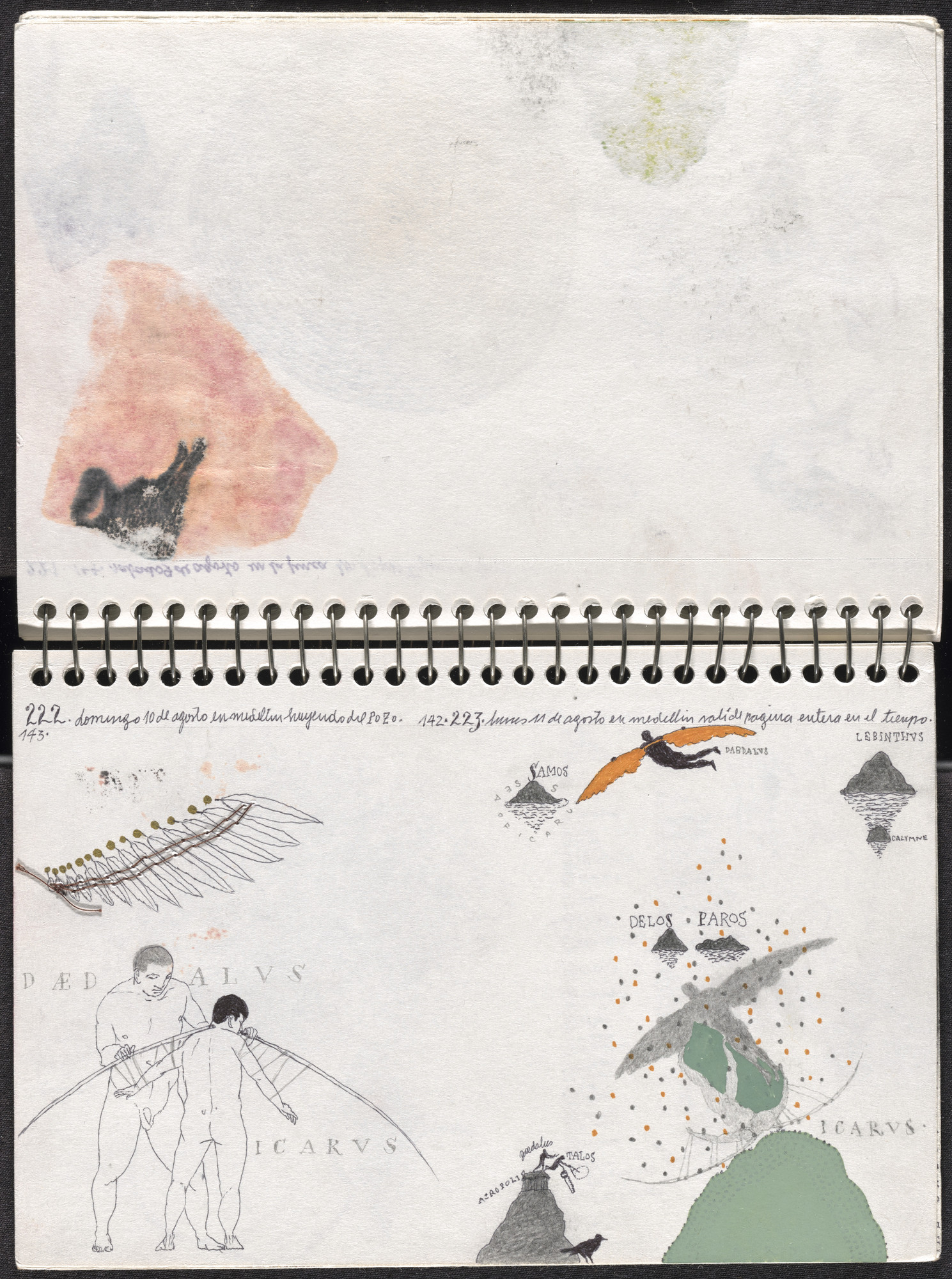 José Antonio Suárez Londoño. Metamorphoses Ovid II (Metamorfosis Ovidio II). 2003