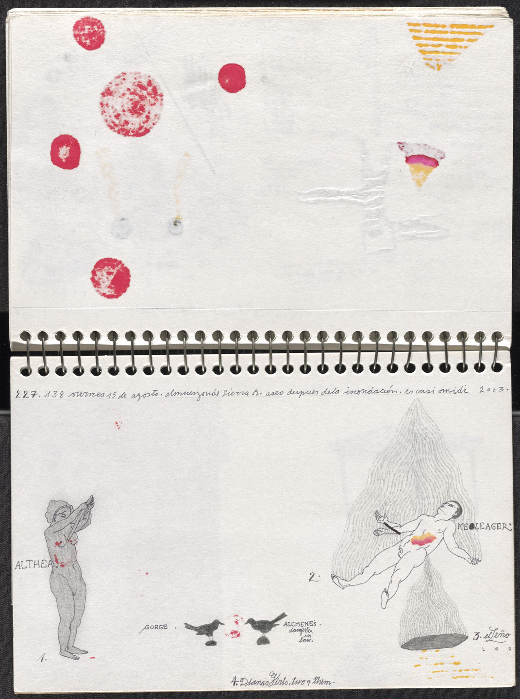 José Antonio Suárez Londoño. Metamorphoses Ovid II (Metamorfosis Ovidio II). 2003