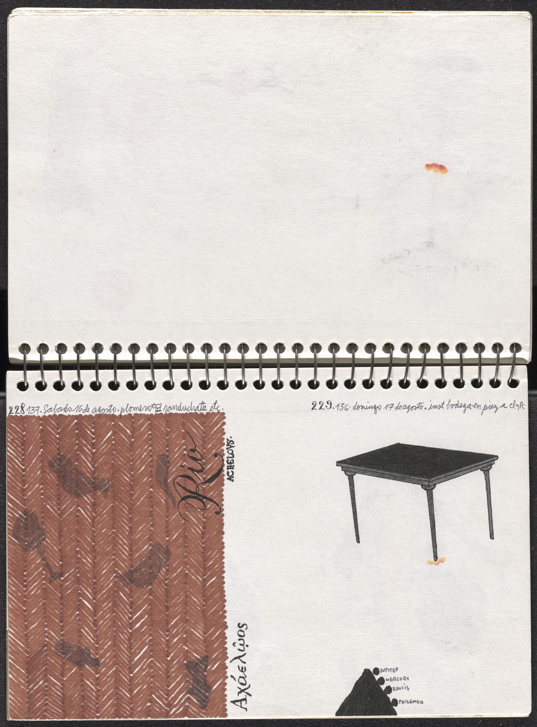 José Antonio Suárez Londoño. Metamorphoses Ovid II (Metamorfosis Ovidio II). 2003