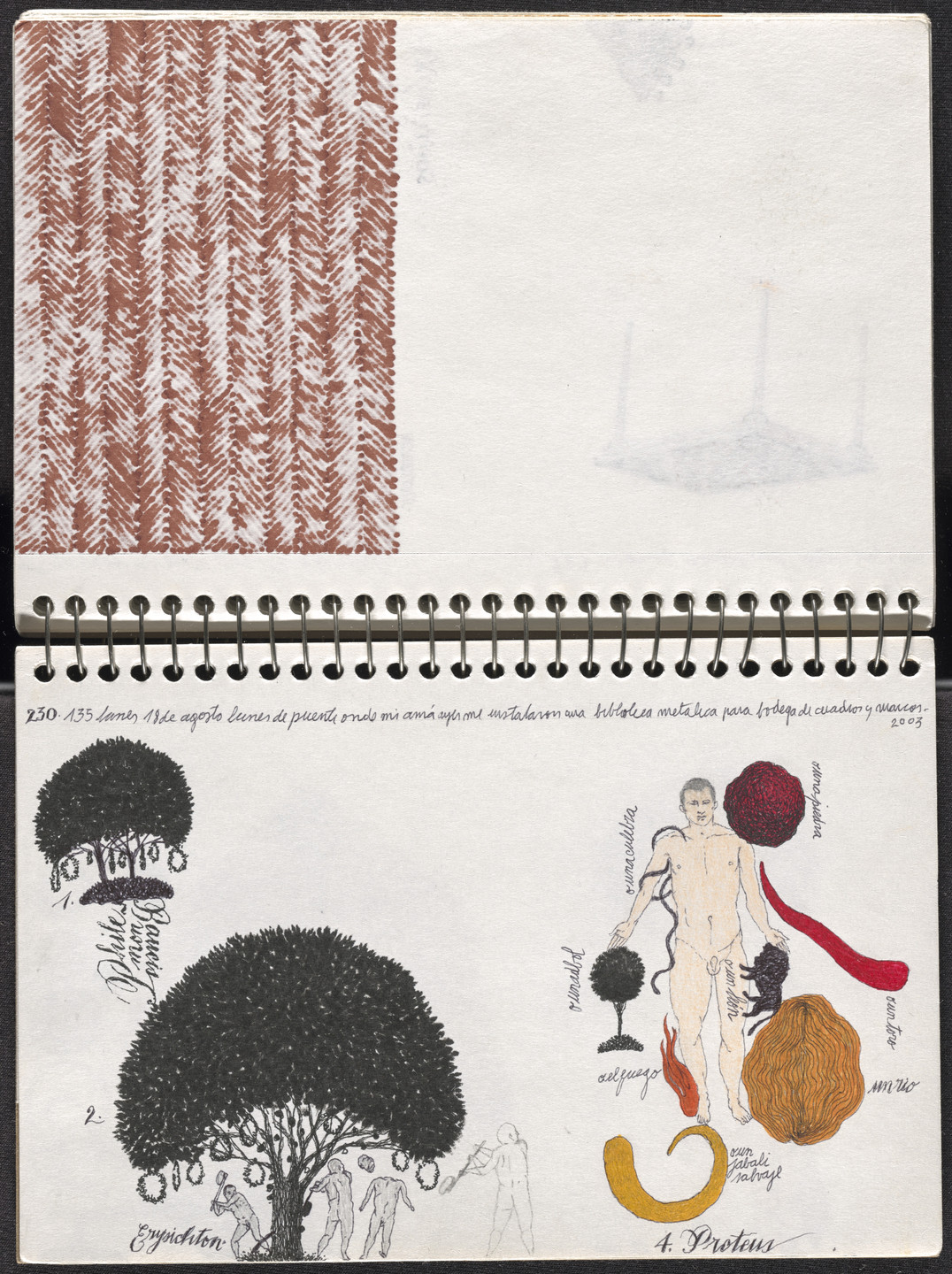 José Antonio Suárez Londoño. Metamorphoses Ovid II (Metamorfosis Ovidio II). 2003