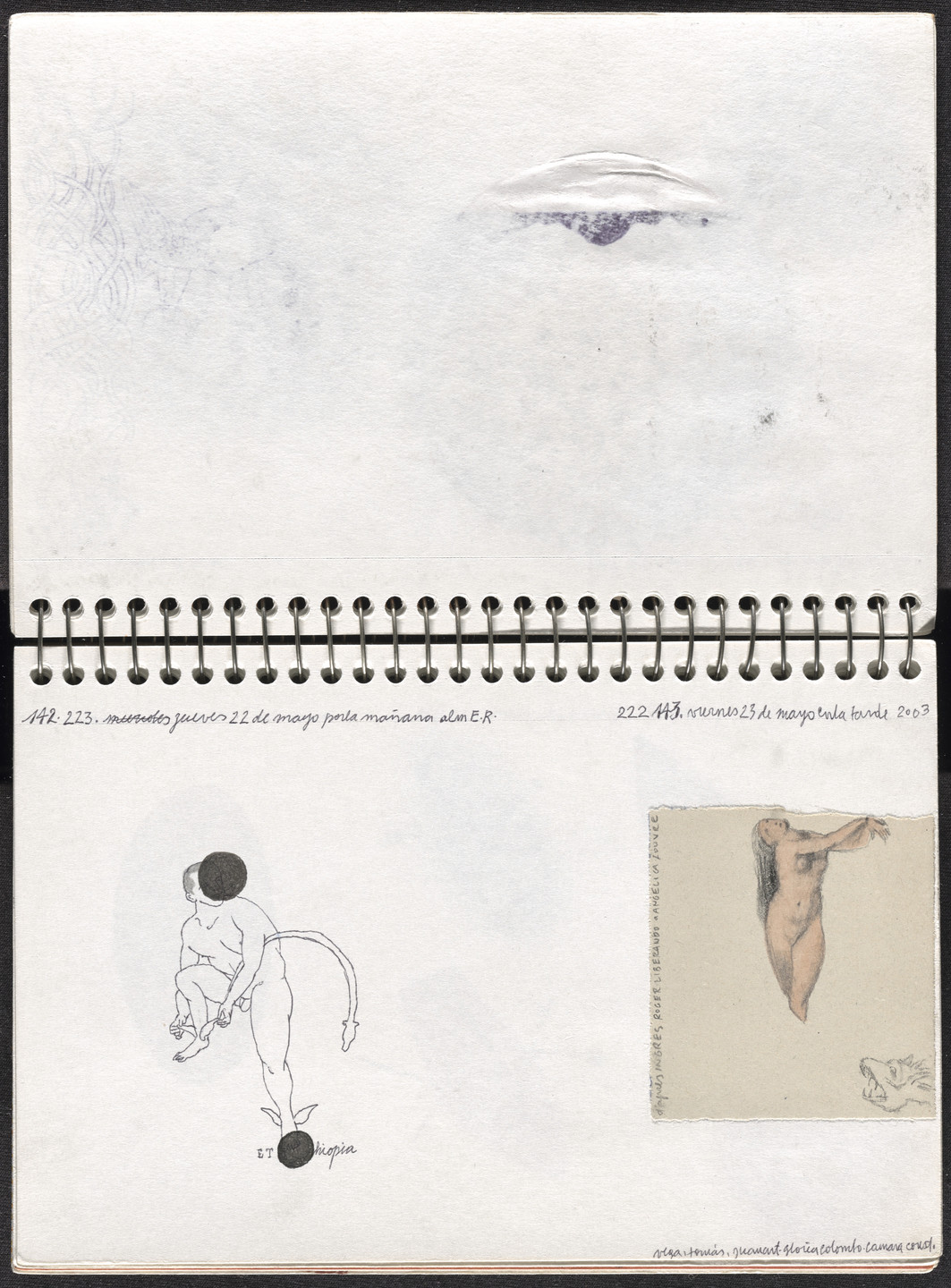 José Antonio Suárez Londoño. Metamorphoses Ovid II (Metamorfosis Ovidio II). 2003