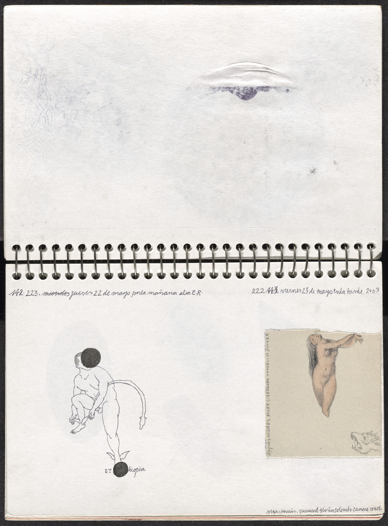 José Antonio Suárez Londoño. Metamorphoses Ovid II (Metamorfosis Ovidio II). 2003