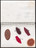 José Antonio Suárez Londoño. Metamorphoses Ovid II (Metamorfosis Ovidio II). 2003