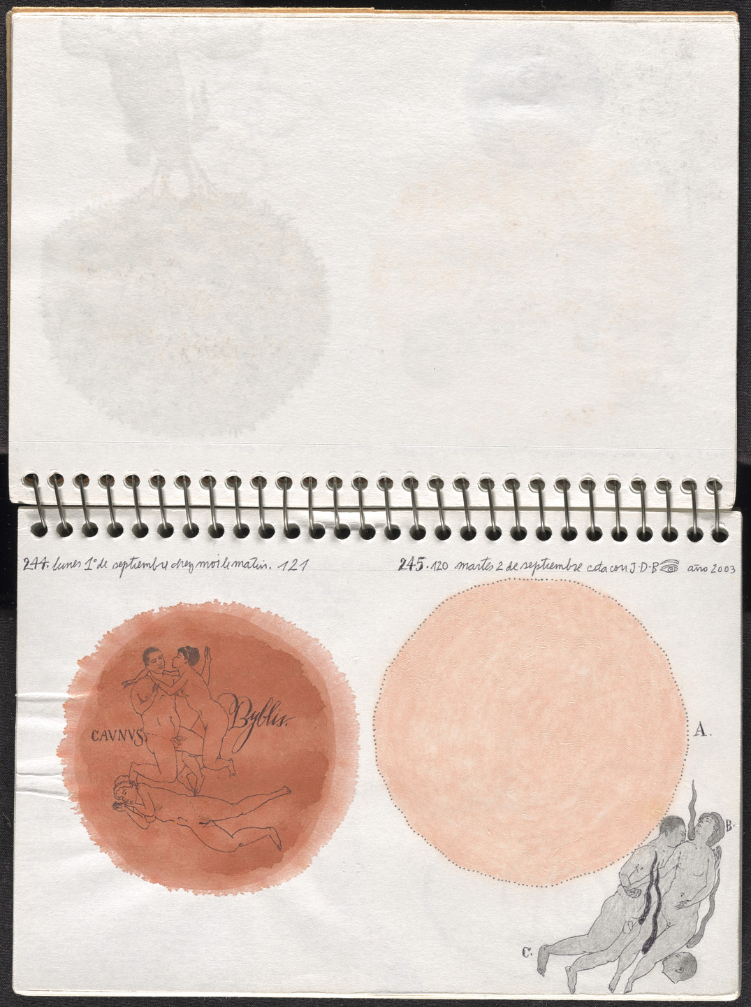 José Antonio Suárez Londoño. Metamorphoses Ovid III (Metamorfosis Ovidio III). 2003