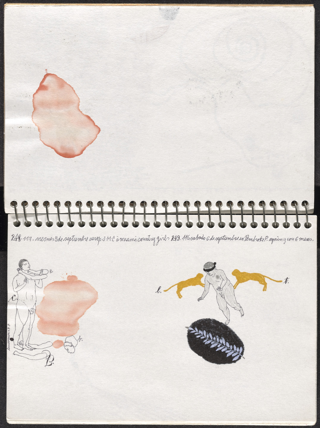 José Antonio Suárez Londoño. Metamorphoses Ovid III (Metamorfosis Ovidio III). 2003