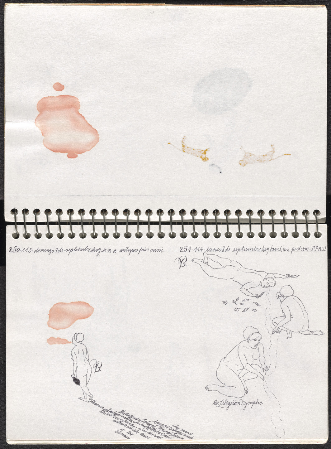 José Antonio Suárez Londoño. Metamorphoses Ovid III (Metamorfosis Ovidio III). 2003