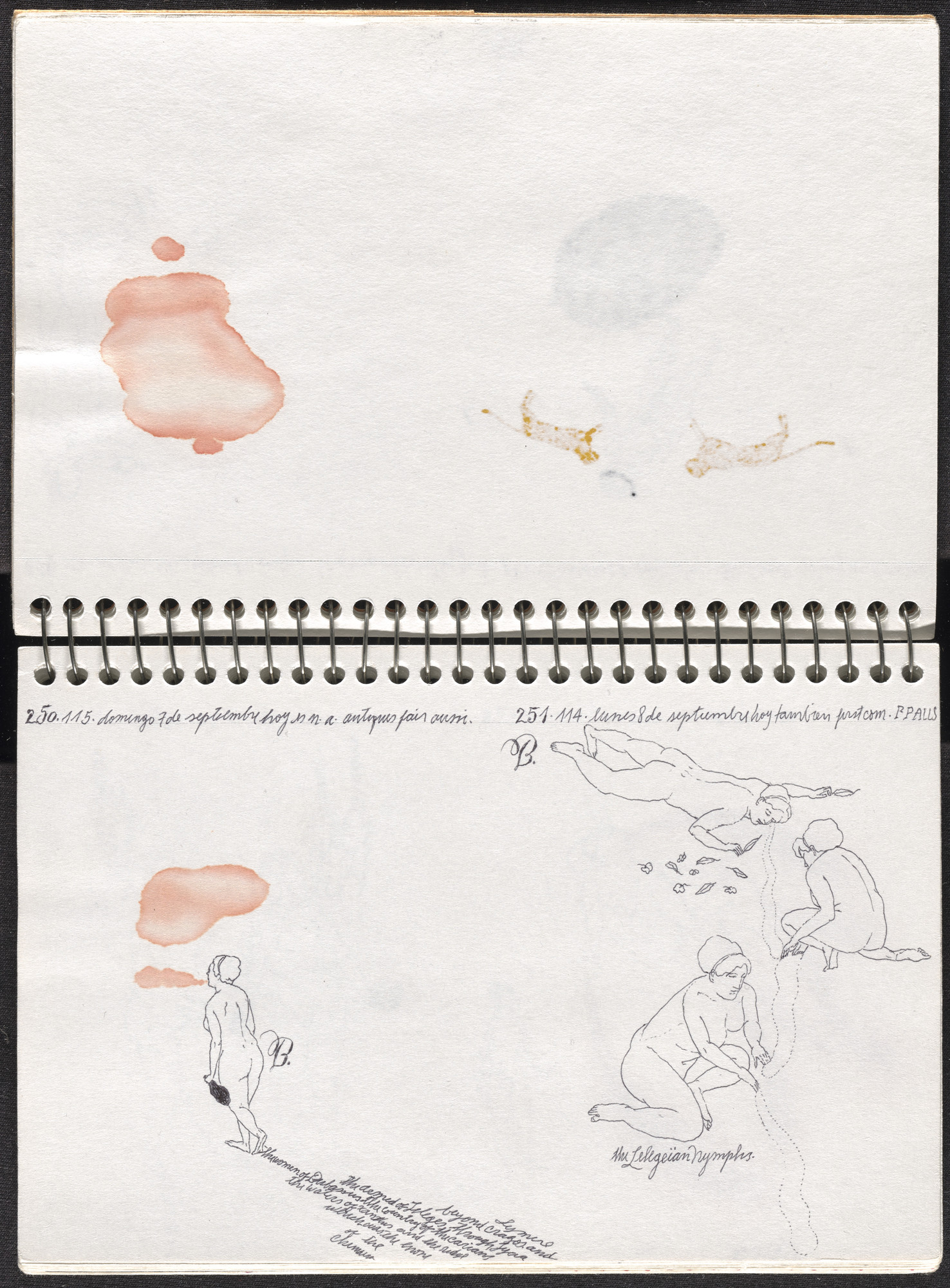 José Antonio Suárez Londoño. Metamorphoses Ovid III (Metamorfosis Ovidio III). 2003