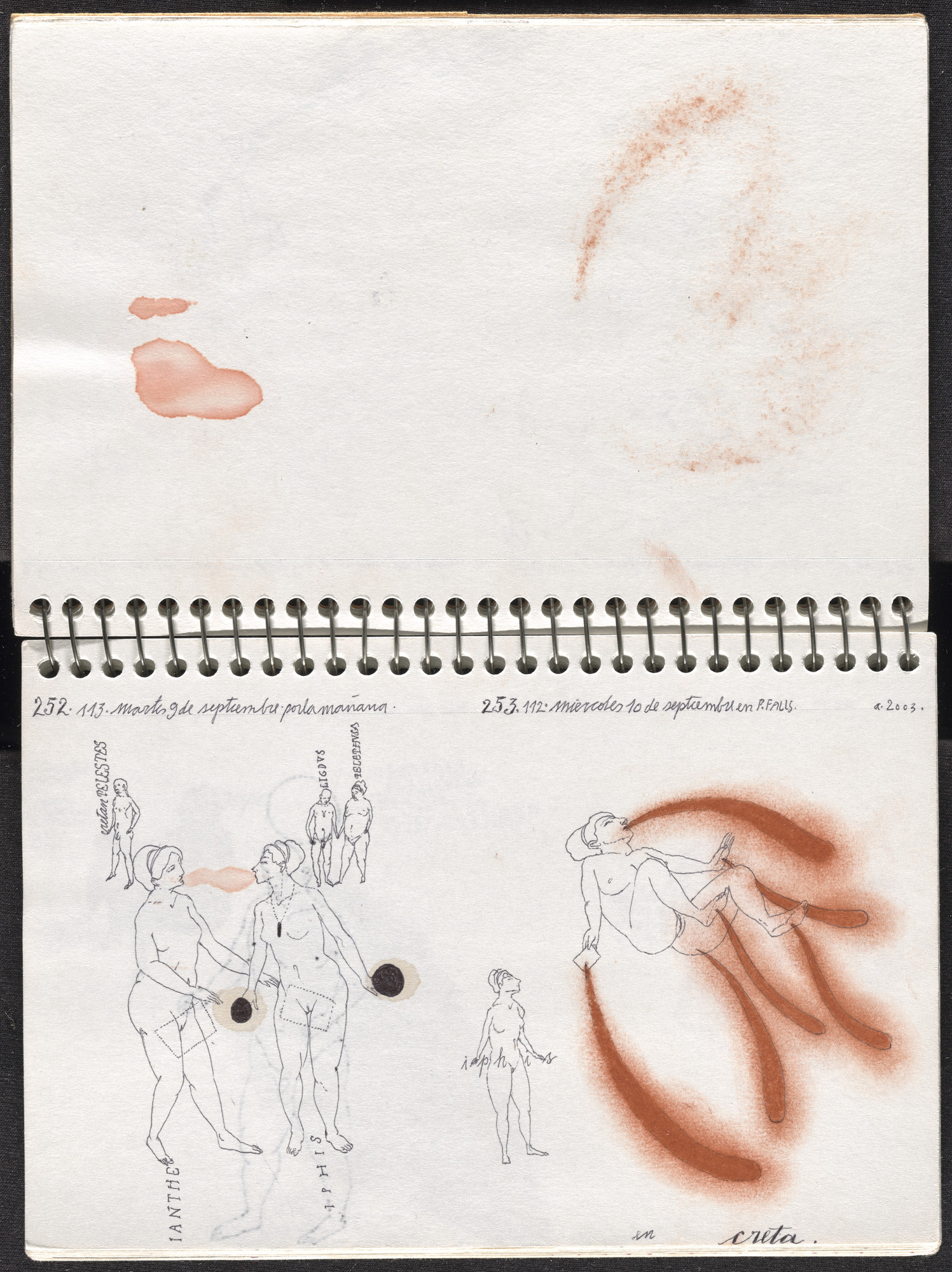 José Antonio Suárez Londoño. Metamorphoses Ovid III (Metamorfosis Ovidio III). 2003