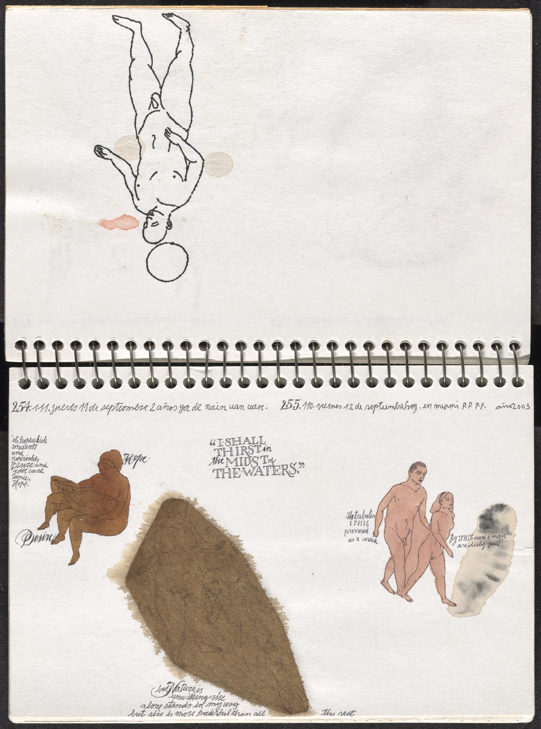 José Antonio Suárez Londoño. Metamorphoses Ovid III (Metamorfosis Ovidio III). 2003