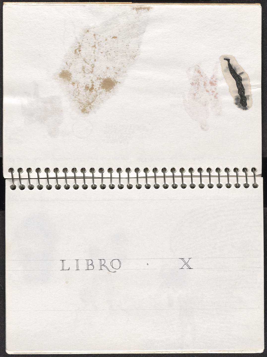 José Antonio Suárez Londoño. Metamorphoses Ovid III (Metamorfosis Ovidio III). 2003