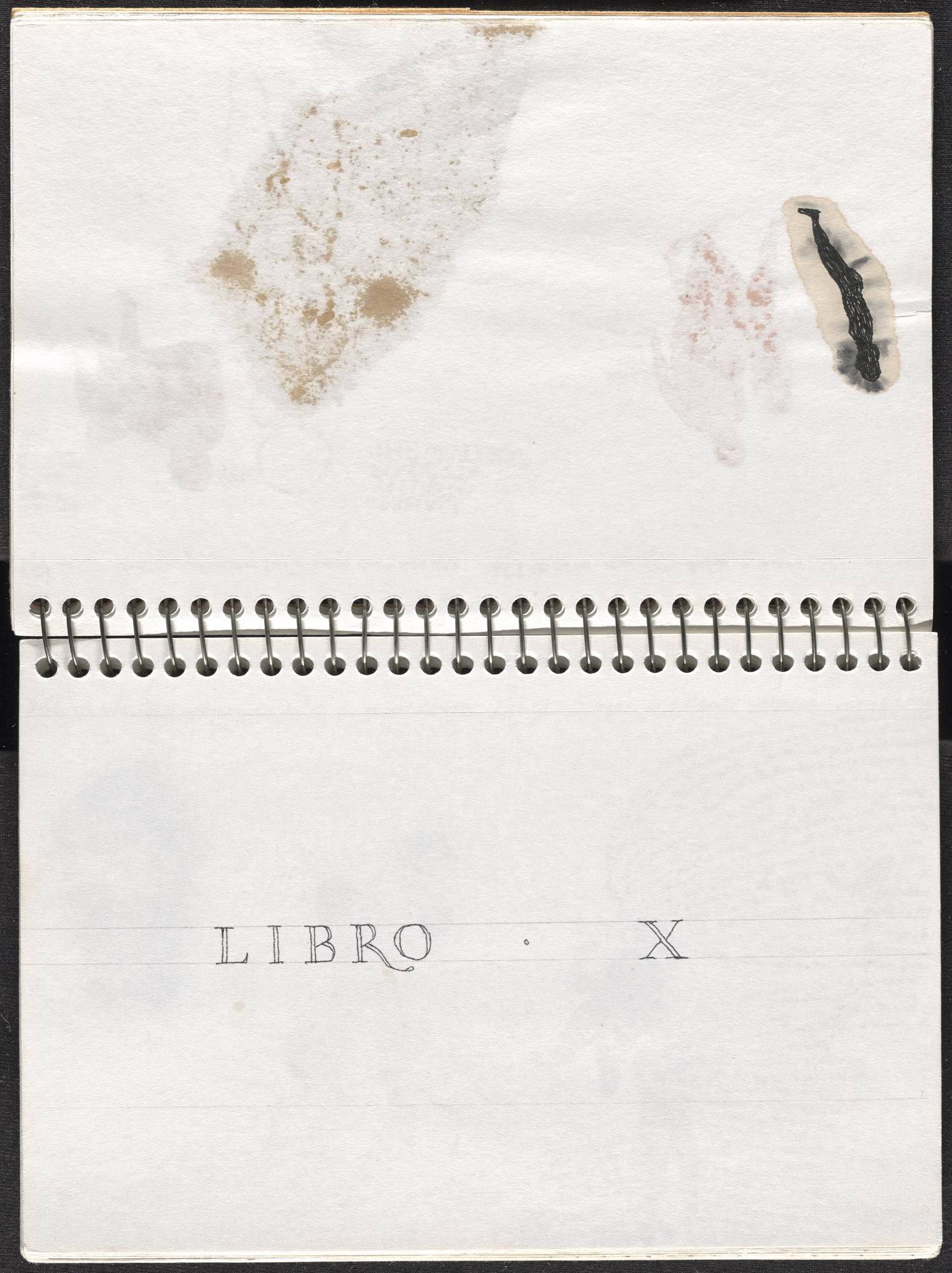 José Antonio Suárez Londoño. Metamorphoses Ovid III (Metamorfosis Ovidio III). 2003