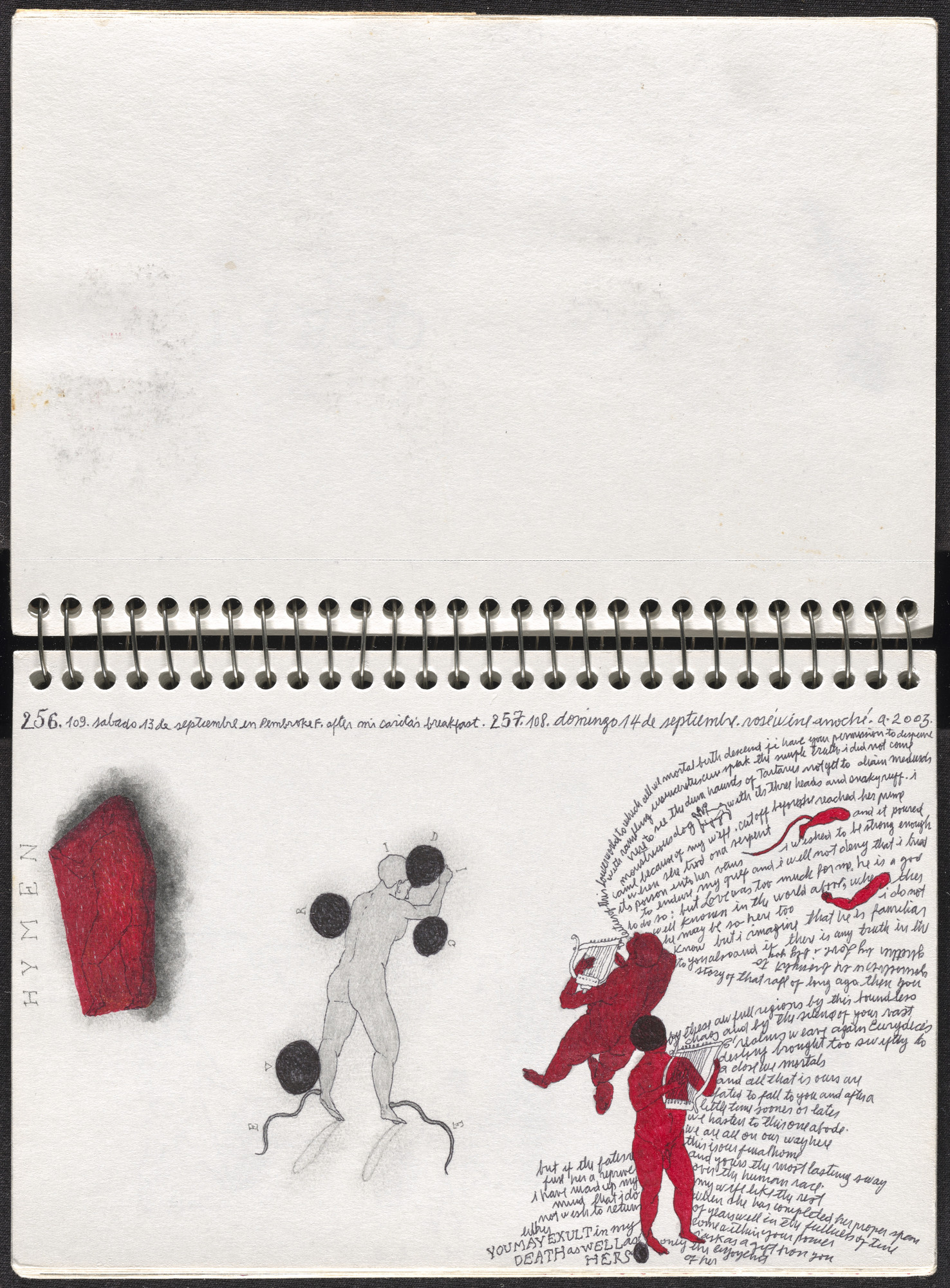 José Antonio Suárez Londoño. Metamorphoses Ovid III (Metamorfosis Ovidio III). 2003