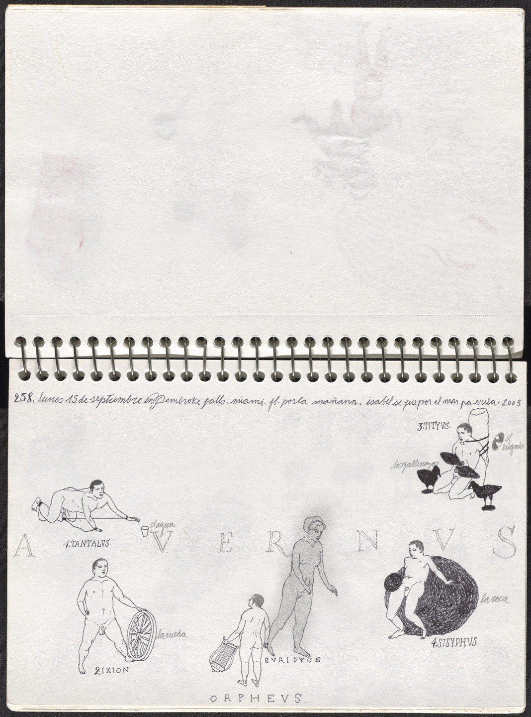 José Antonio Suárez Londoño. Metamorphoses Ovid III (Metamorfosis Ovidio III). 2003