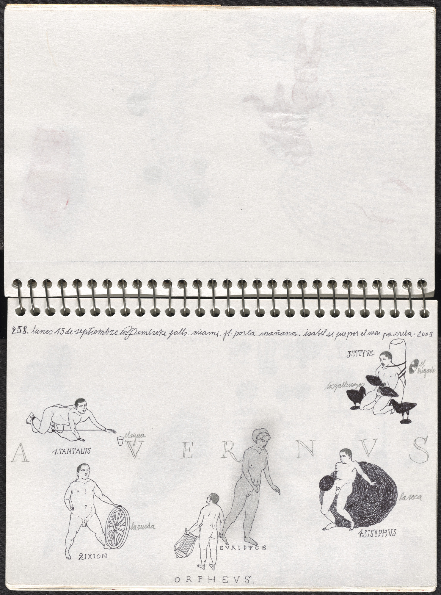 José Antonio Suárez Londoño. Metamorphoses Ovid III (Metamorfosis Ovidio III). 2003