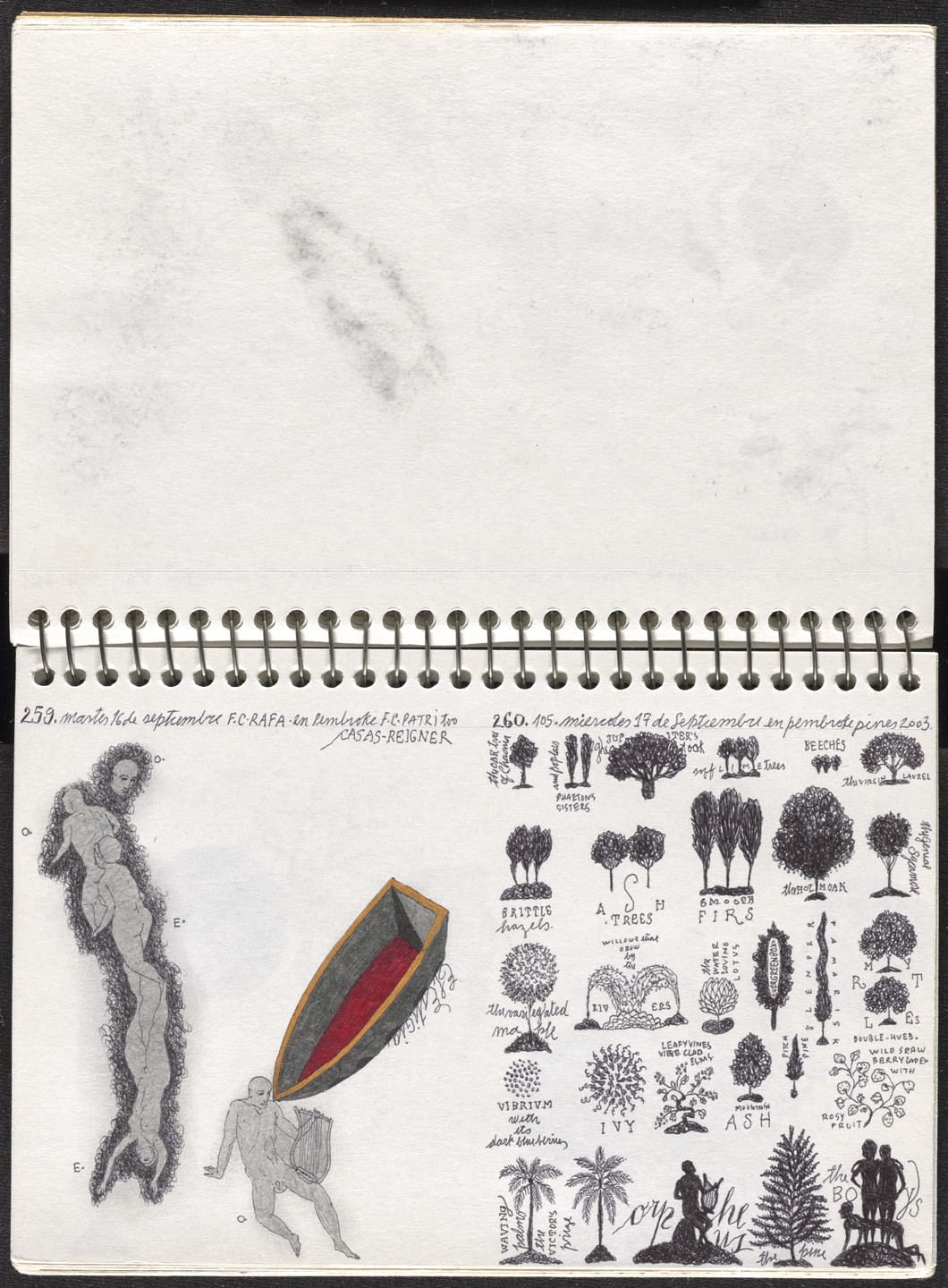 José Antonio Suárez Londoño. Metamorphoses Ovid III (Metamorfosis Ovidio III). 2003