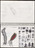 José Antonio Suárez Londoño. Metamorphoses Ovid III (Metamorfosis Ovidio III). 2003
