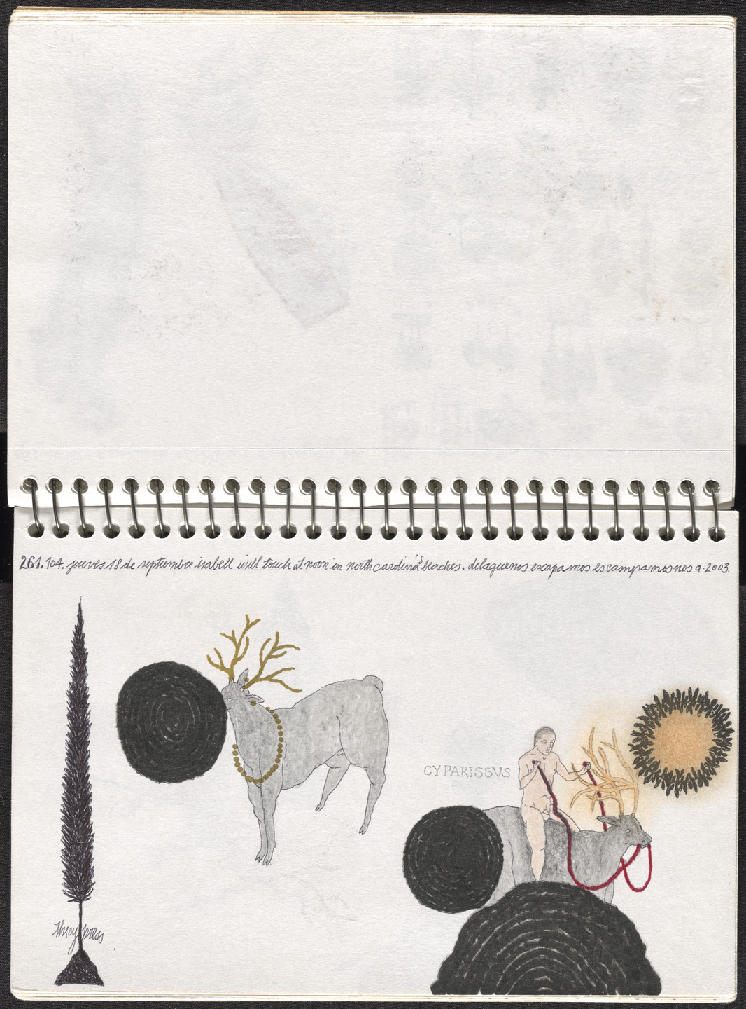 José Antonio Suárez Londoño. Metamorphoses Ovid III (Metamorfosis Ovidio III). 2003