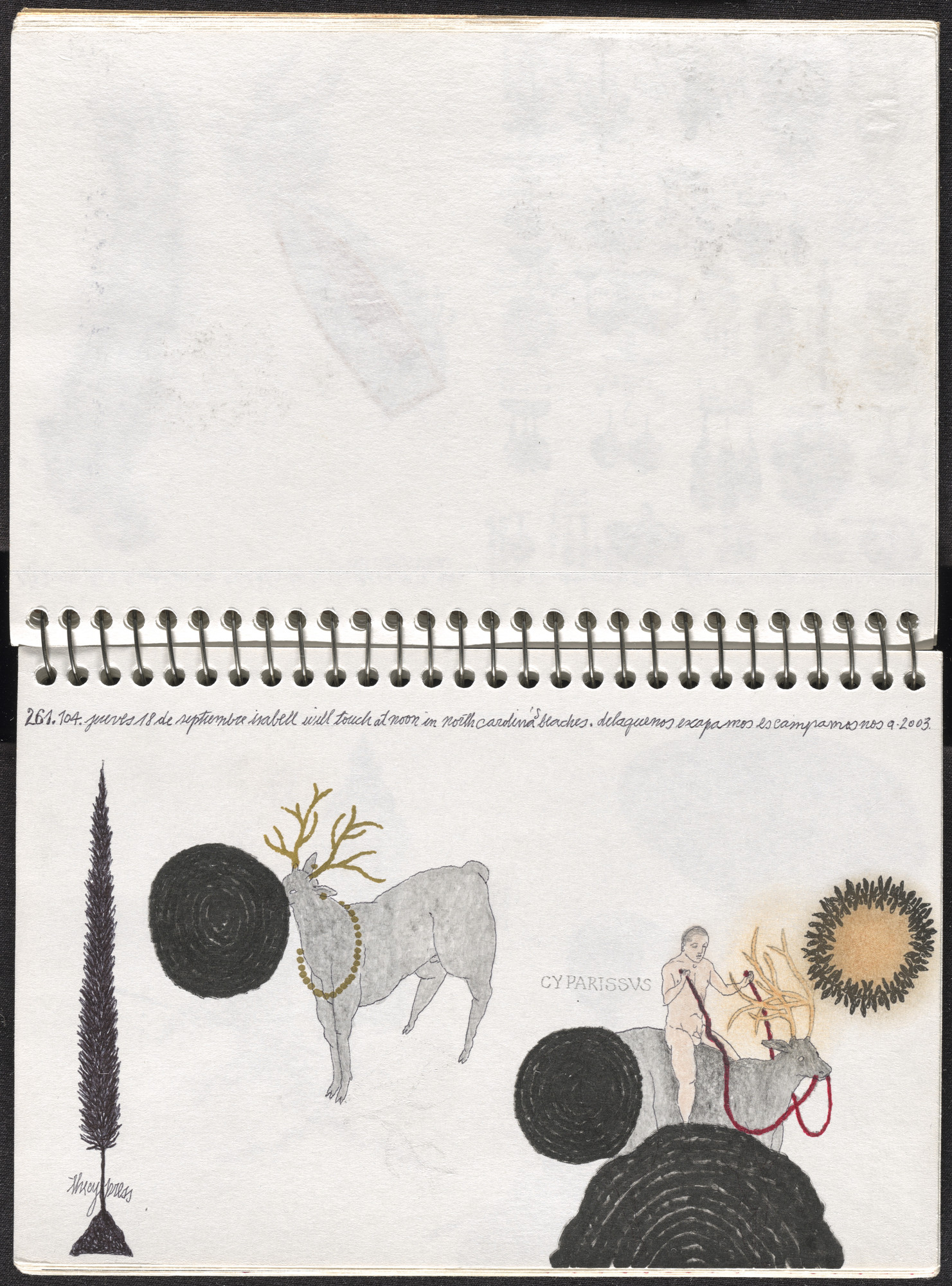 José Antonio Suárez Londoño. Metamorphoses Ovid III (Metamorfosis Ovidio III). 2003