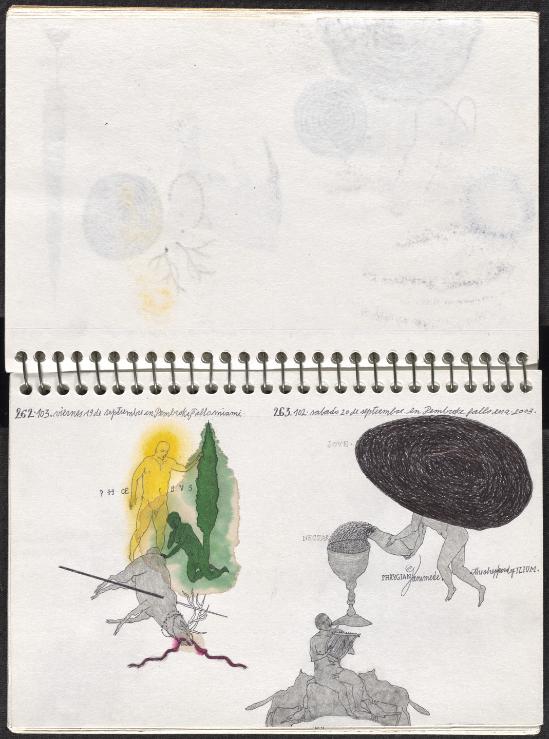 José Antonio Suárez Londoño. Metamorphoses Ovid III (Metamorfosis Ovidio III). 2003