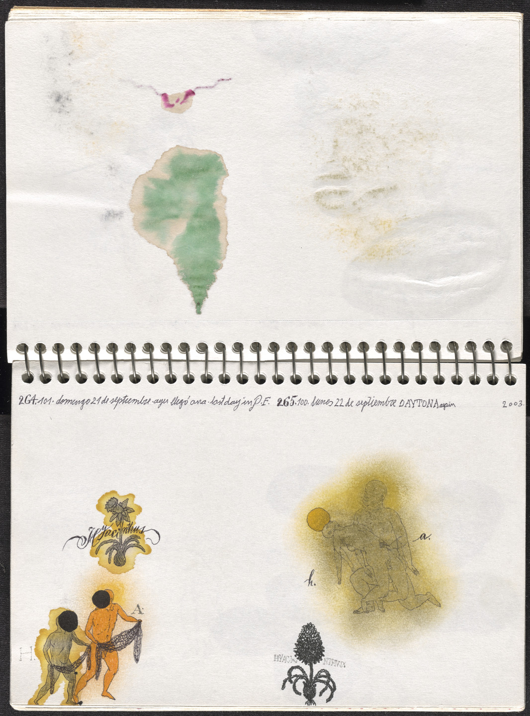 José Antonio Suárez Londoño. Metamorphoses Ovid III (Metamorfosis Ovidio III). 2003