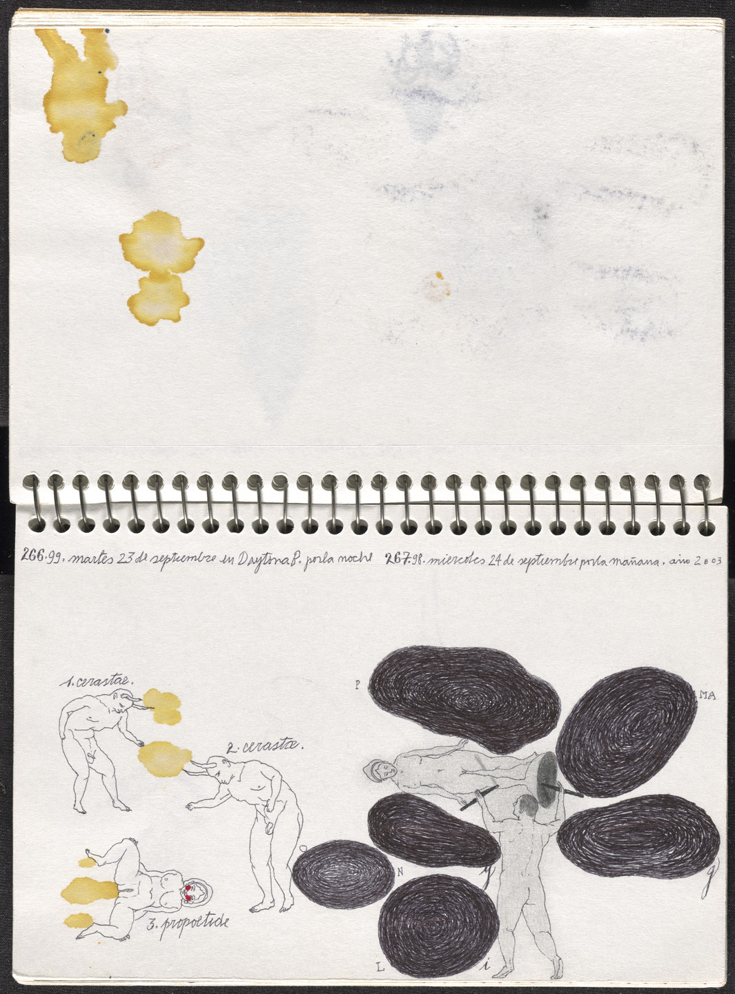 José Antonio Suárez Londoño. Metamorphoses Ovid III (Metamorfosis Ovidio III). 2003
