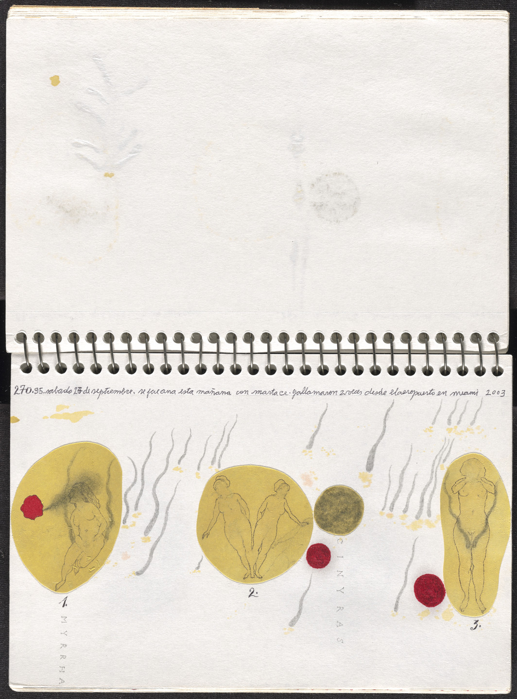 José Antonio Suárez Londoño. Metamorphoses Ovid III (Metamorfosis Ovidio III). 2003
