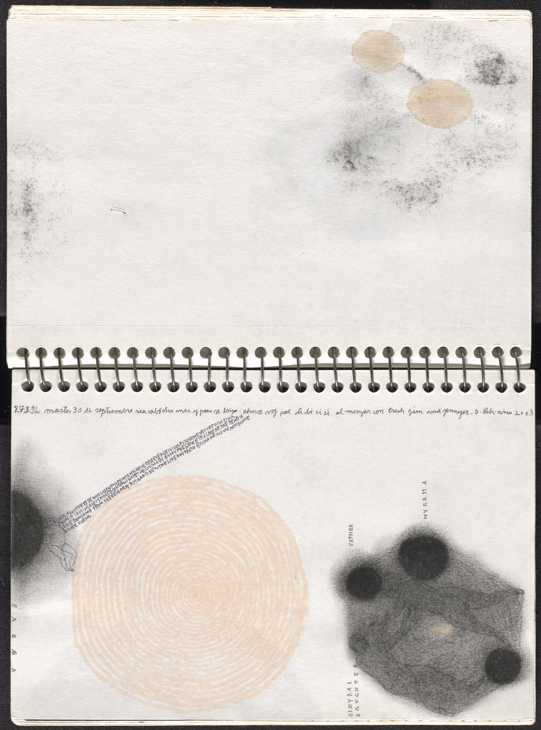 José Antonio Suárez Londoño. Metamorphoses Ovid III (Metamorfosis Ovidio III). 2003