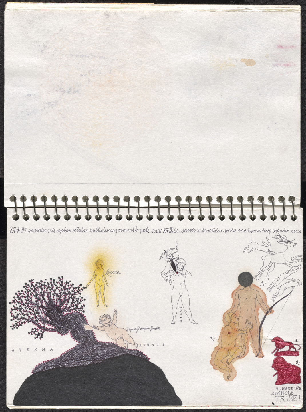 José Antonio Suárez Londoño. Metamorphoses Ovid III (Metamorfosis Ovidio III). 2003