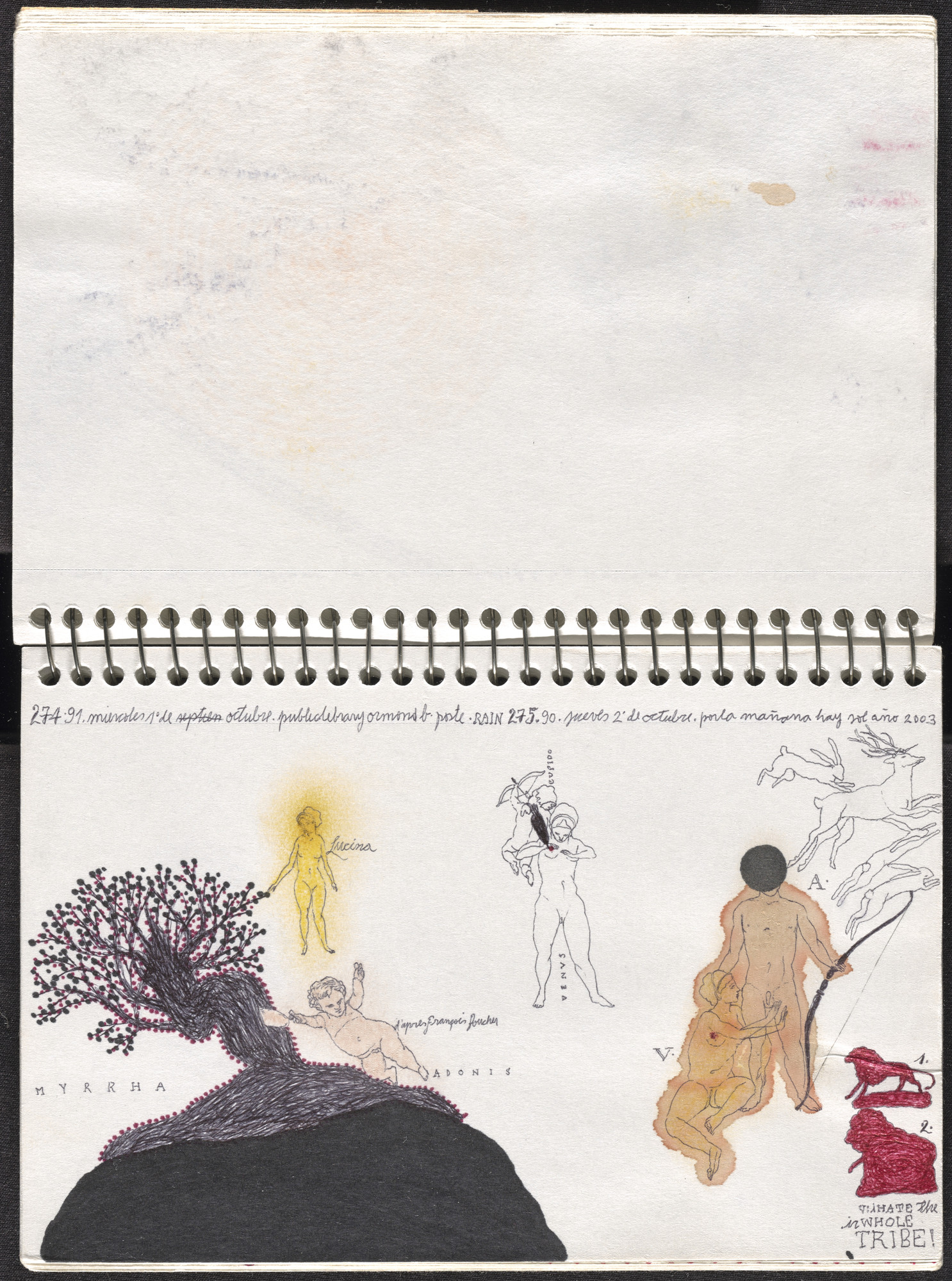 José Antonio Suárez Londoño. Metamorphoses Ovid III (Metamorfosis Ovidio III). 2003