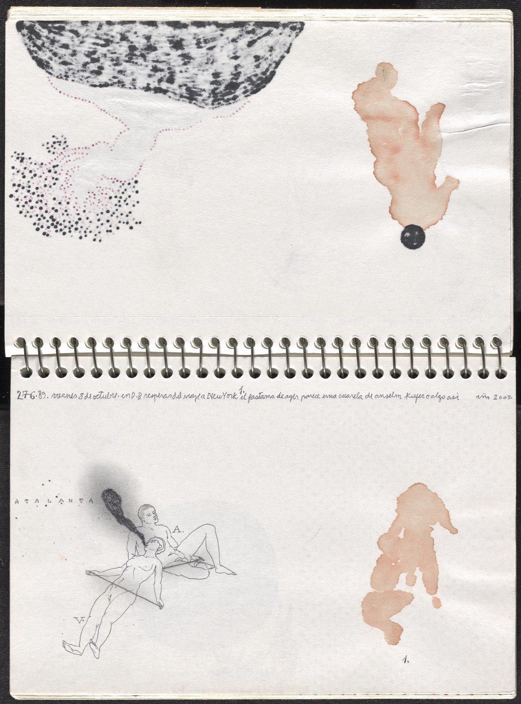 José Antonio Suárez Londoño. Metamorphoses Ovid III (Metamorfosis Ovidio III). 2003