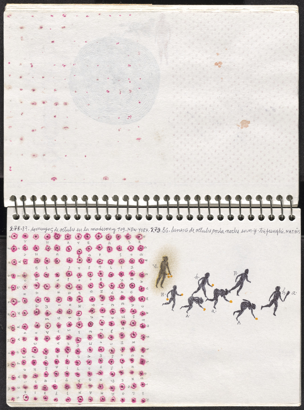 José Antonio Suárez Londoño. Metamorphoses Ovid III (Metamorfosis Ovidio III). 2003
