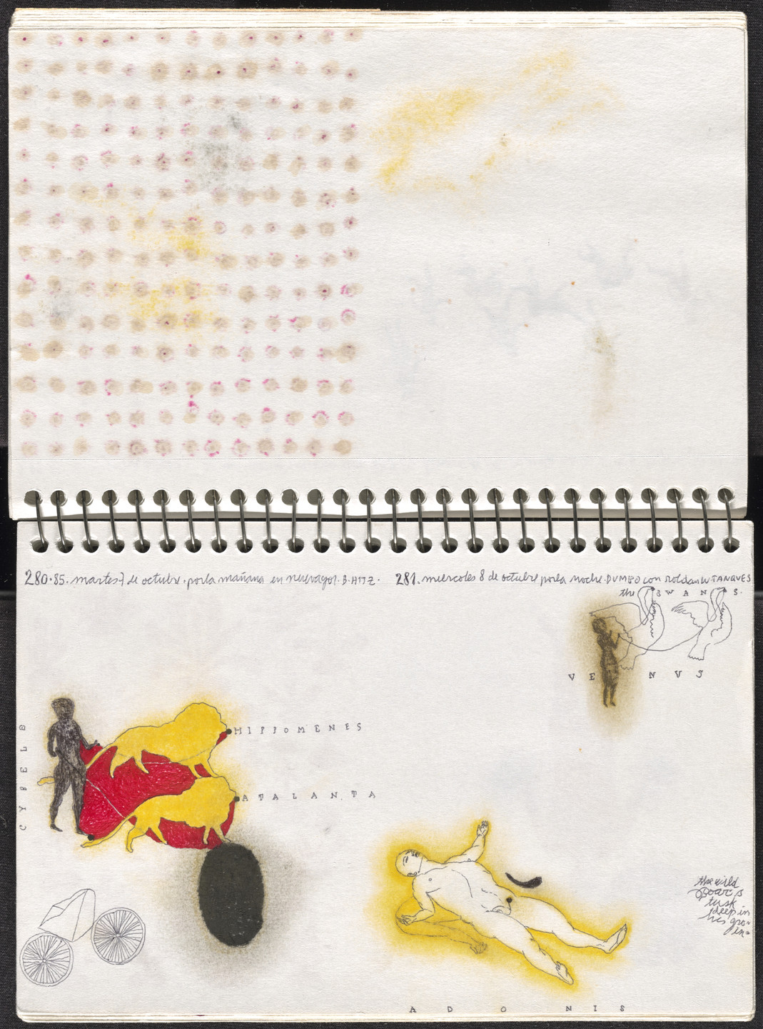 José Antonio Suárez Londoño. Metamorphoses Ovid III (Metamorfosis Ovidio III). 2003