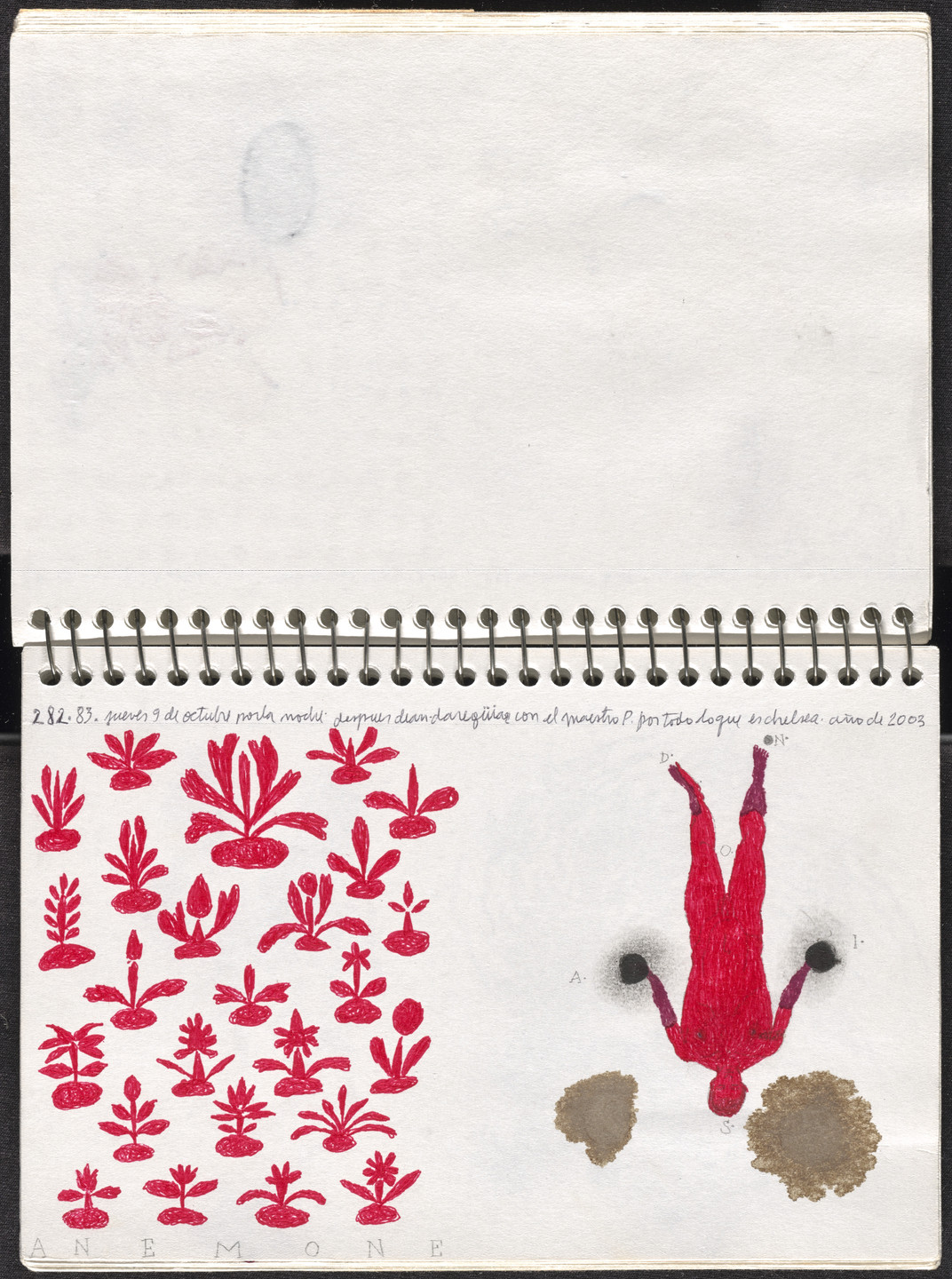 José Antonio Suárez Londoño. Metamorphoses Ovid III (Metamorfosis Ovidio III). 2003