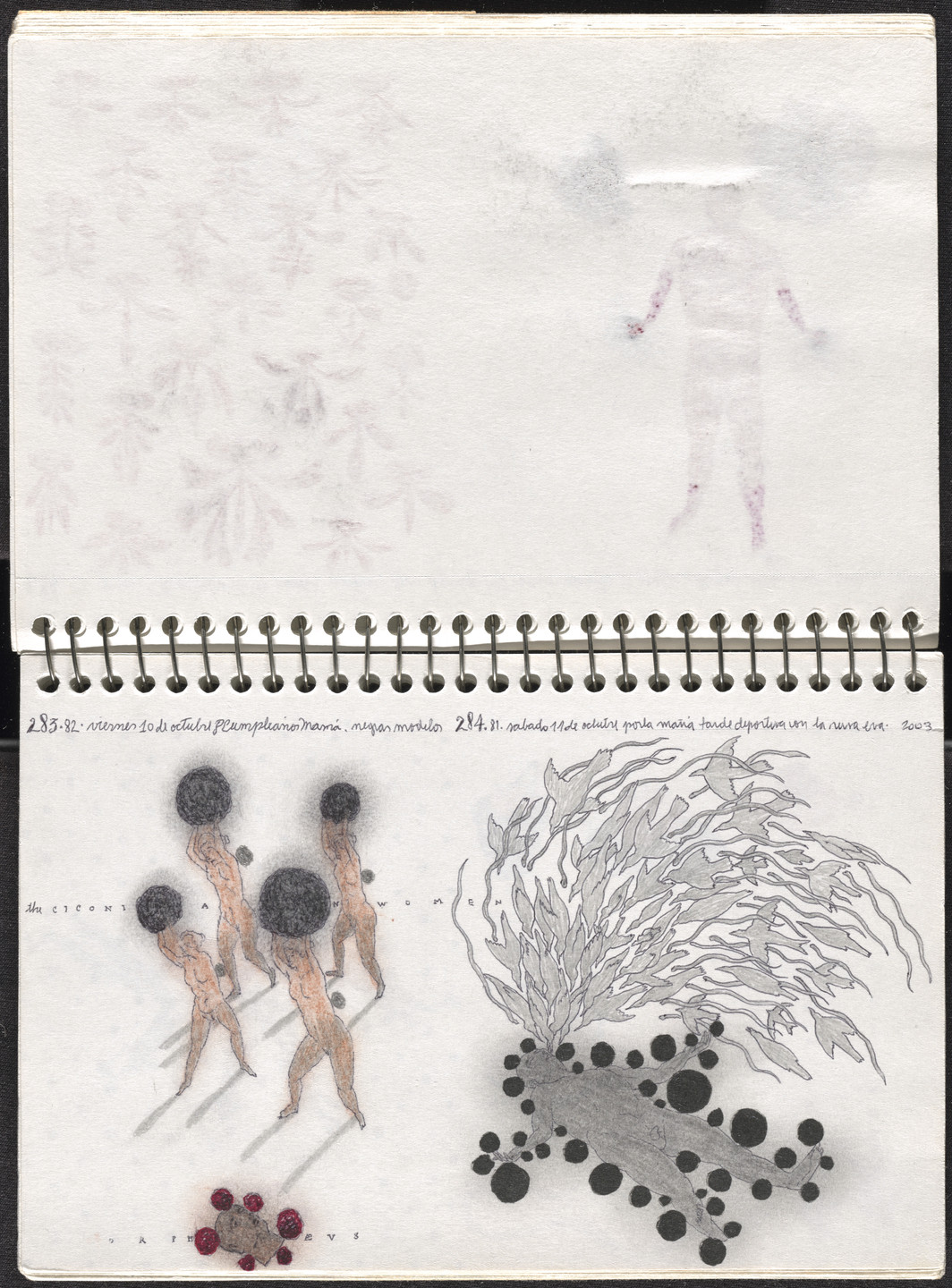 José Antonio Suárez Londoño. Metamorphoses Ovid III (Metamorfosis Ovidio III). 2003