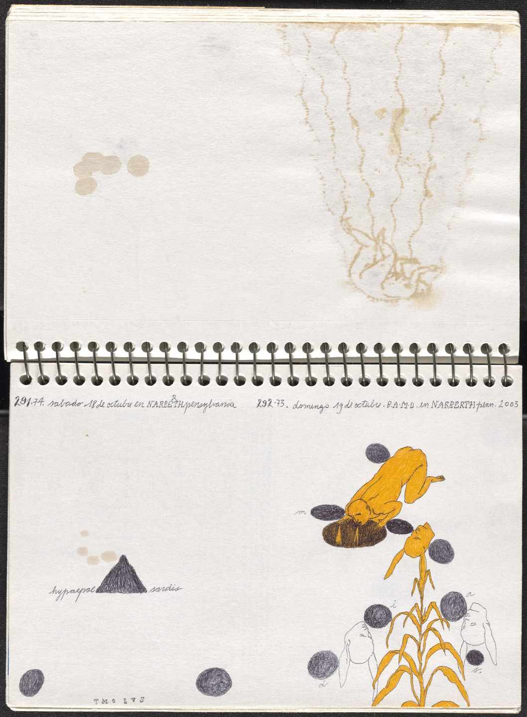 José Antonio Suárez Londoño. Metamorphoses Ovid III (Metamorfosis Ovidio III). 2003
