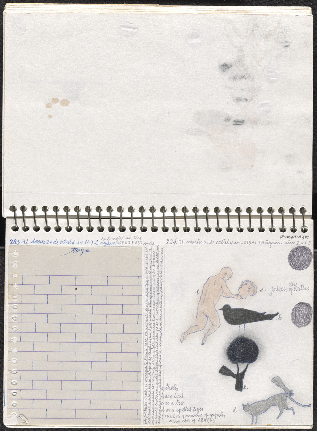 José Antonio Suárez Londoño. Metamorphoses Ovid III (Metamorfosis Ovidio III). 2003