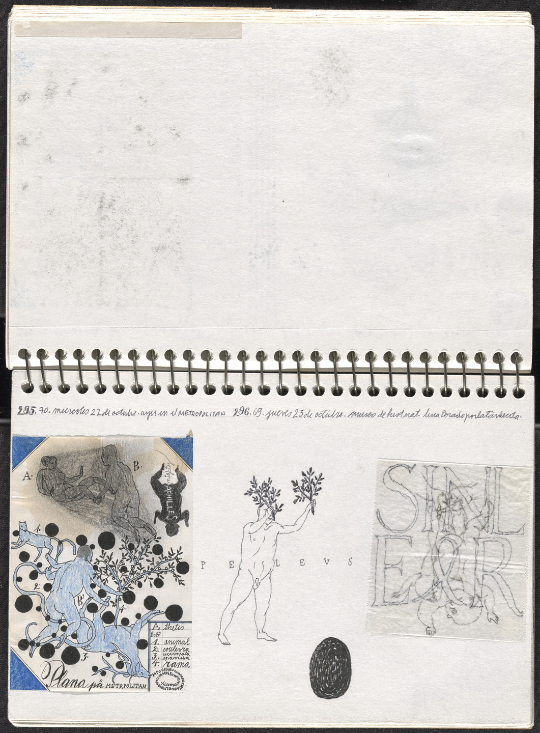 José Antonio Suárez Londoño. Metamorphoses Ovid III (Metamorfosis Ovidio III). 2003