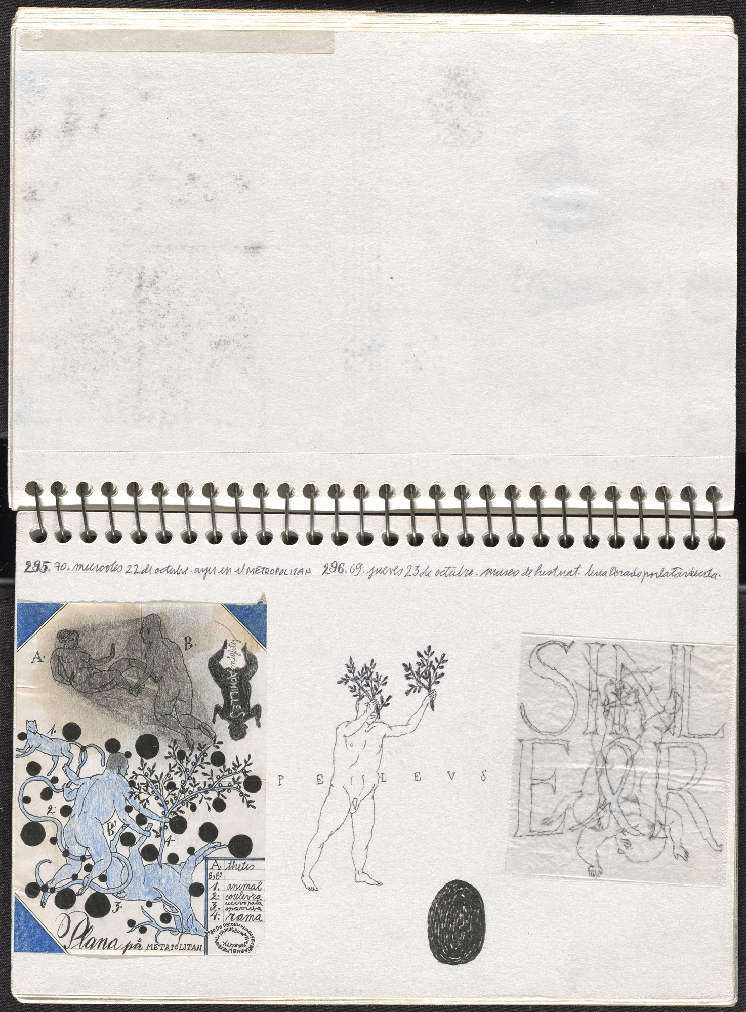 José Antonio Suárez Londoño. Metamorphoses Ovid III (Metamorfosis Ovidio III). 2003