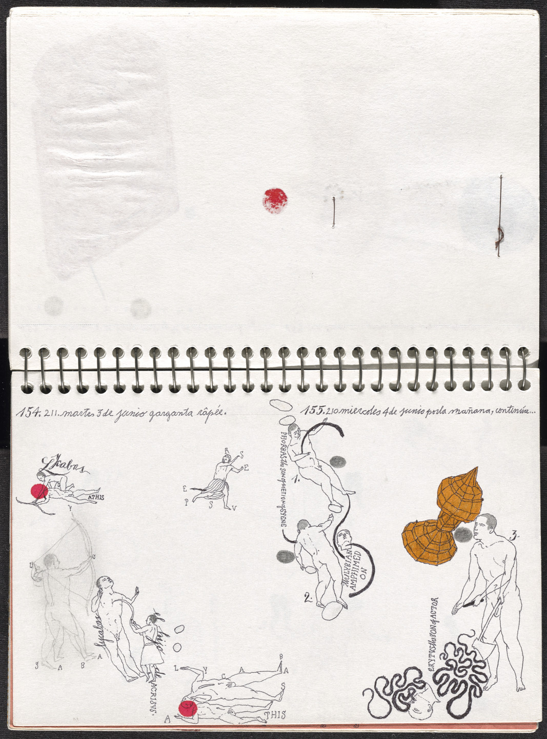 José Antonio Suárez Londoño. Metamorphoses Ovid II (Metamorfosis Ovidio II). 2003