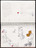 José Antonio Suárez Londoño. Metamorphoses Ovid II (Metamorfosis Ovidio II). 2003
