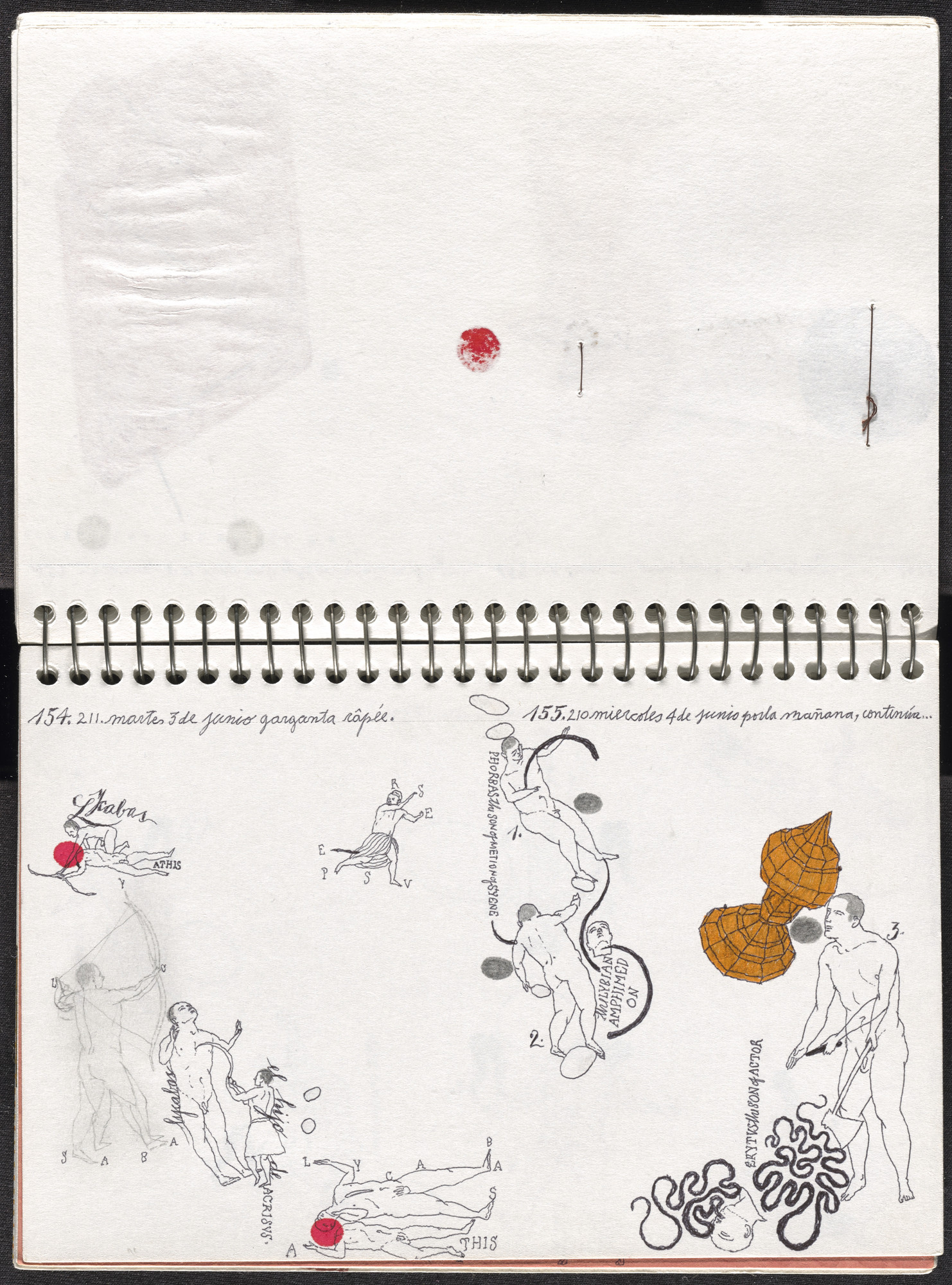 José Antonio Suárez Londoño. Metamorphoses Ovid II (Metamorfosis Ovidio II). 2003