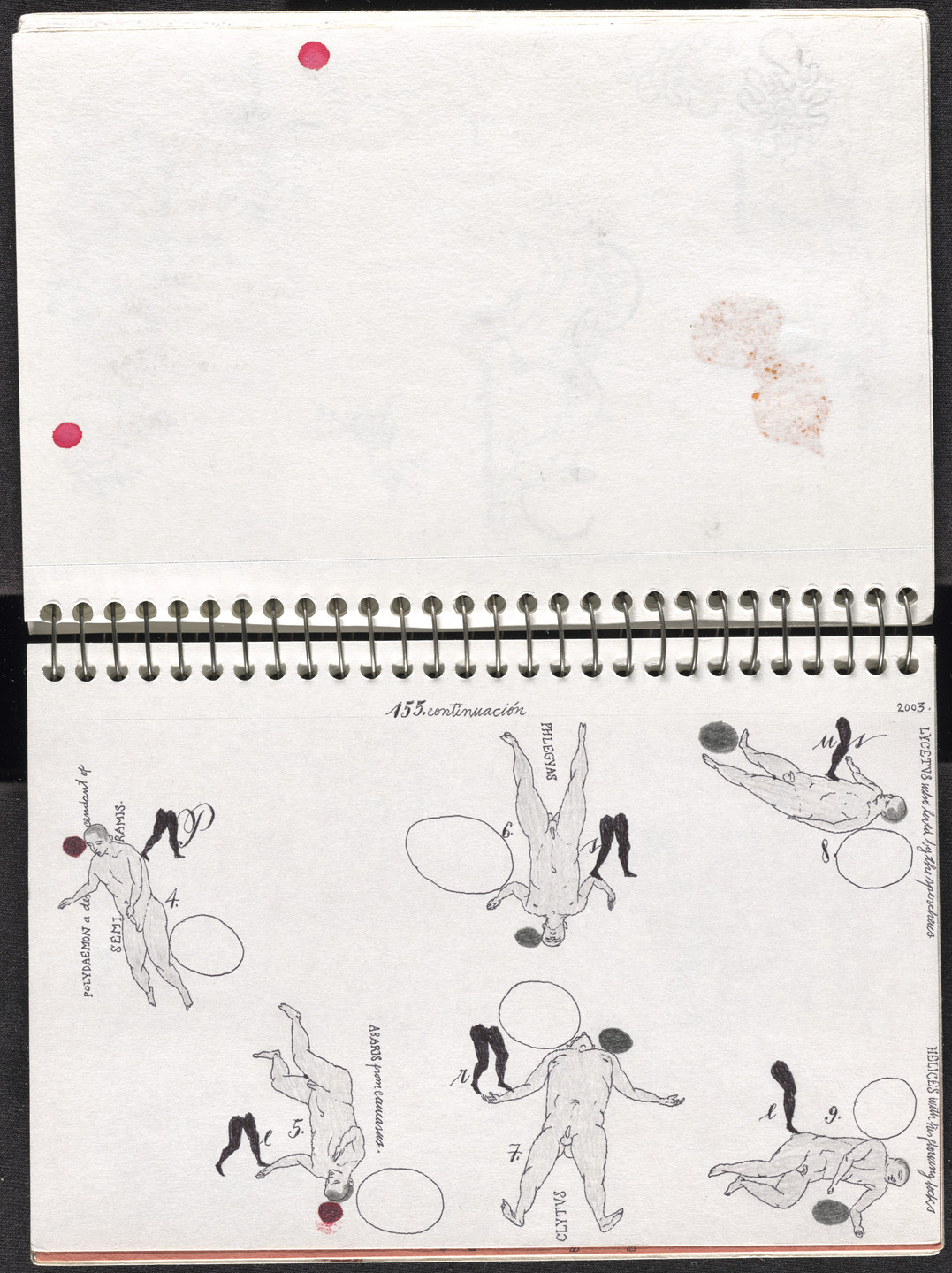 José Antonio Suárez Londoño. Metamorphoses Ovid II (Metamorfosis Ovidio II). 2003