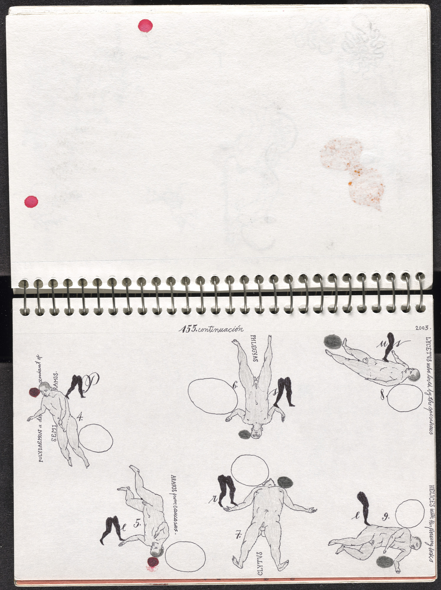 José Antonio Suárez Londoño. Metamorphoses Ovid II (Metamorfosis Ovidio II). 2003