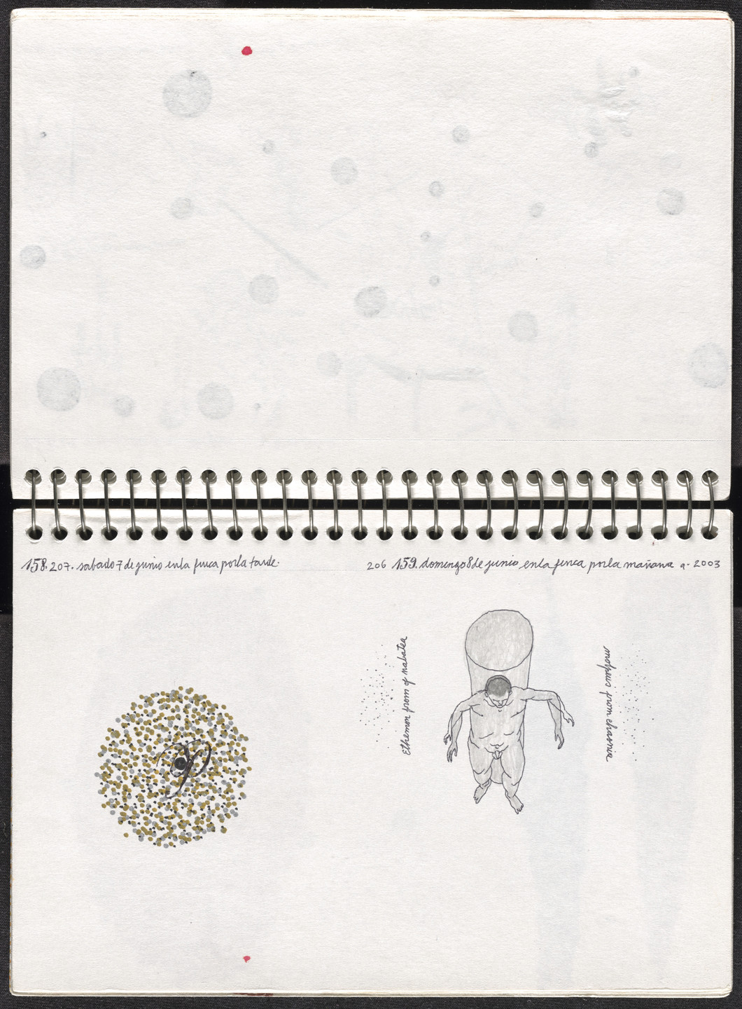 José Antonio Suárez Londoño. Metamorphoses Ovid II (Metamorfosis Ovidio II). 2003