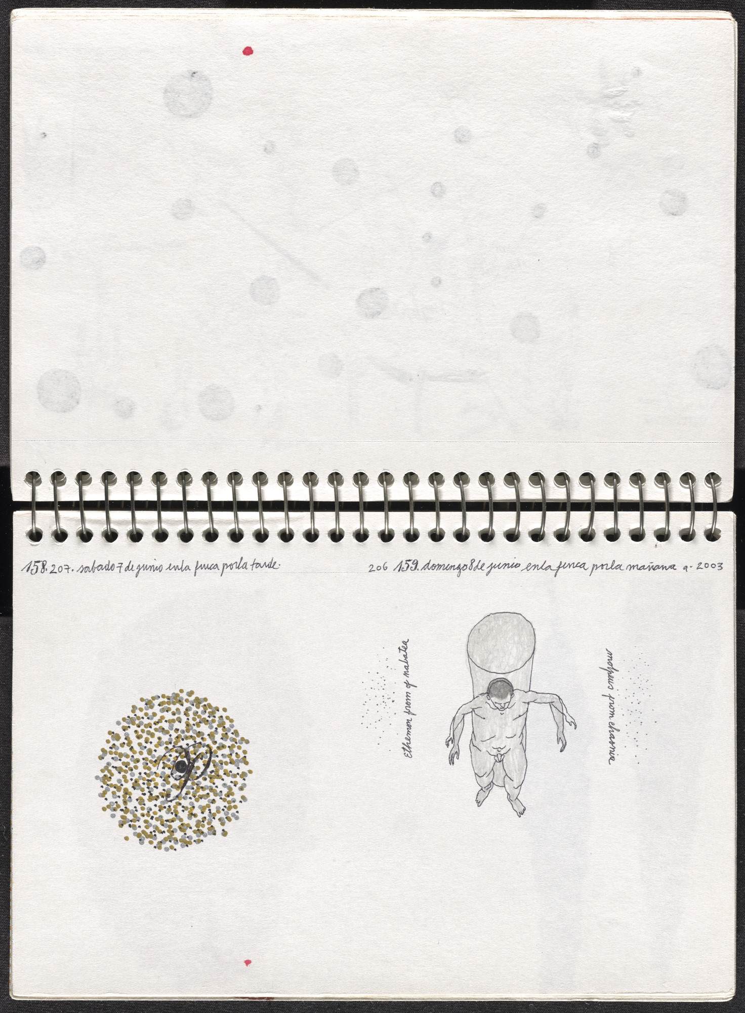 José Antonio Suárez Londoño. Metamorphoses Ovid II (Metamorfosis Ovidio II). 2003