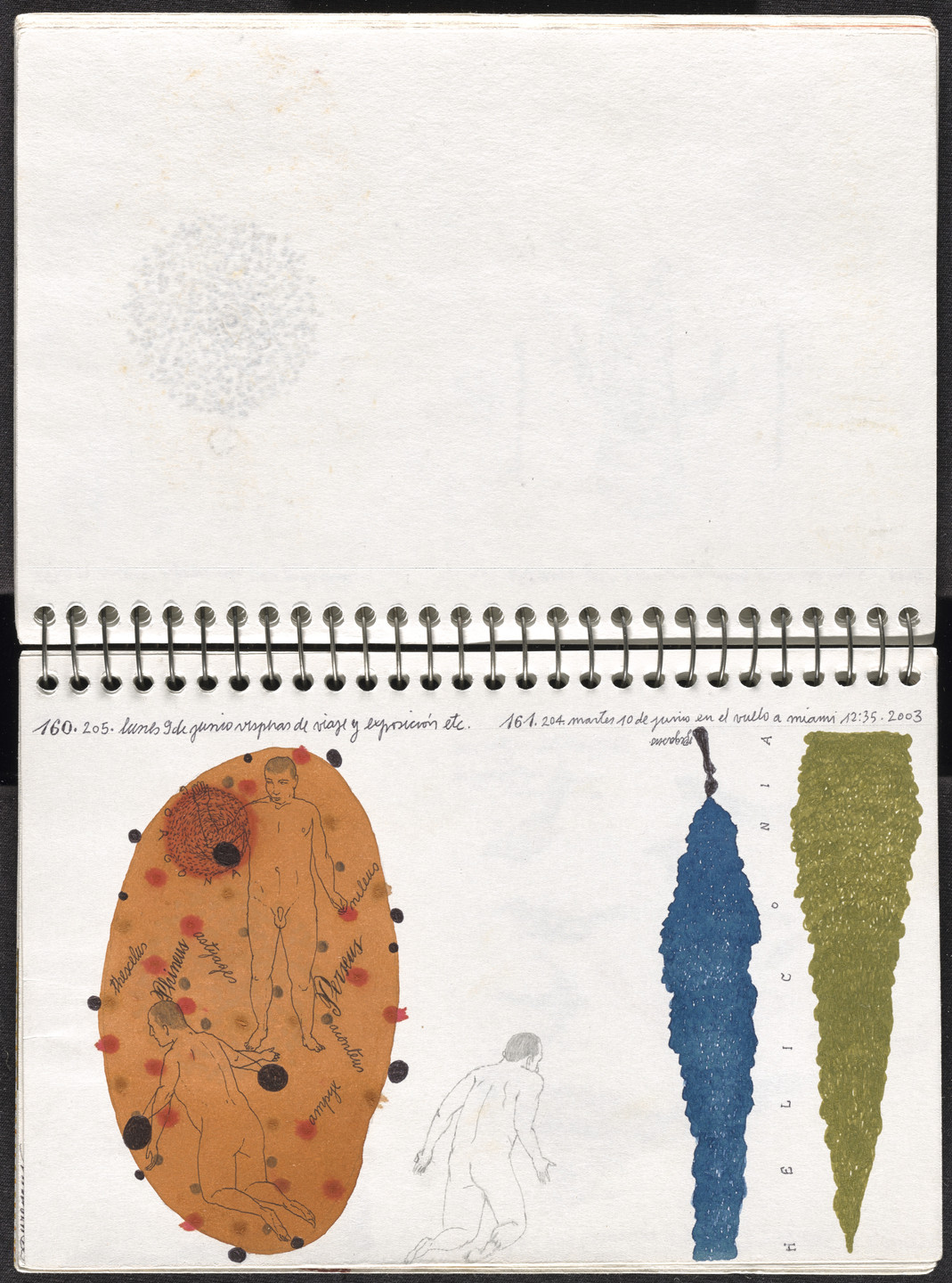 José Antonio Suárez Londoño. Metamorphoses Ovid II (Metamorfosis Ovidio II). 2003