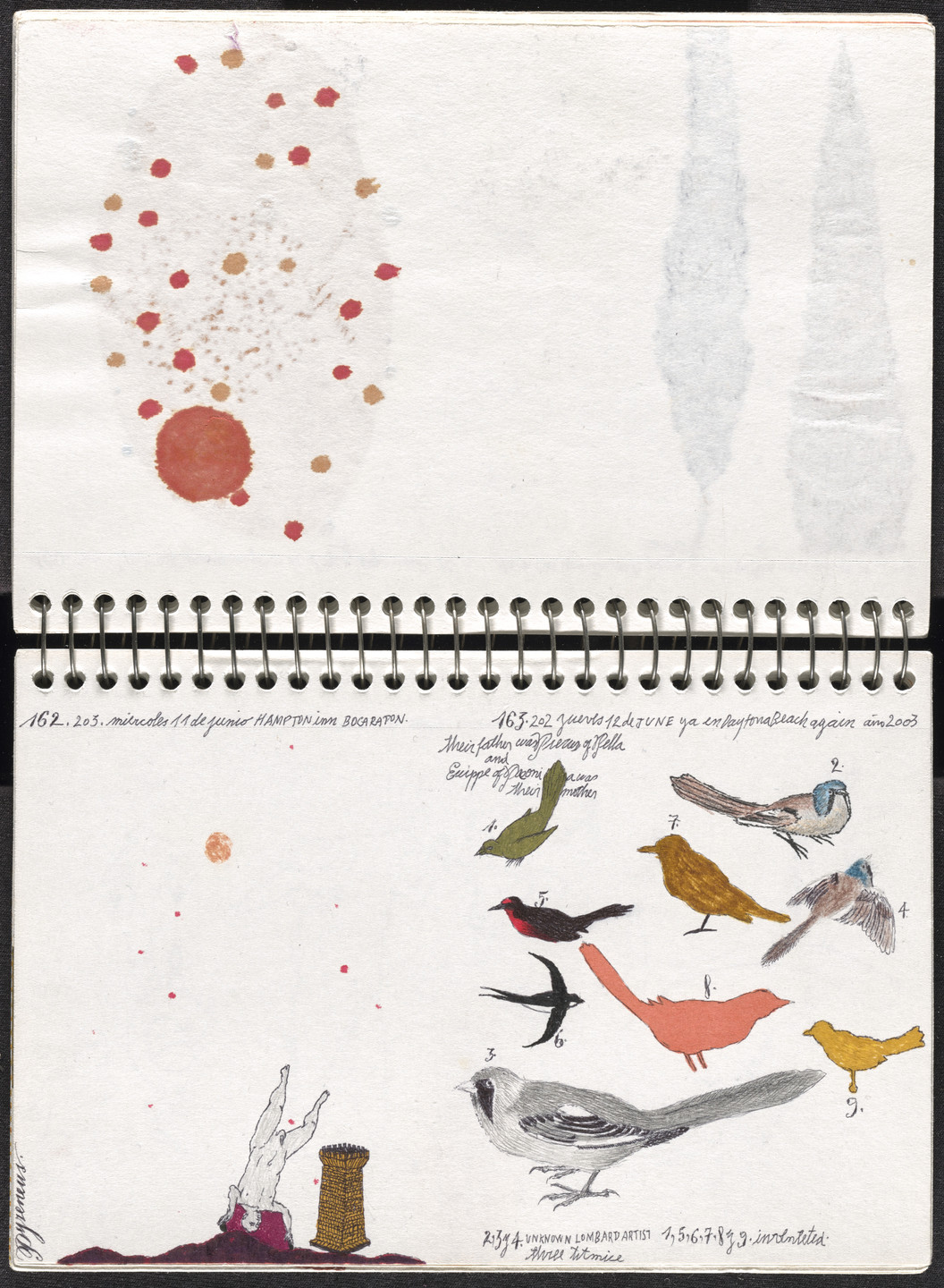 José Antonio Suárez Londoño. Metamorphoses Ovid II (Metamorfosis Ovidio II). 2003