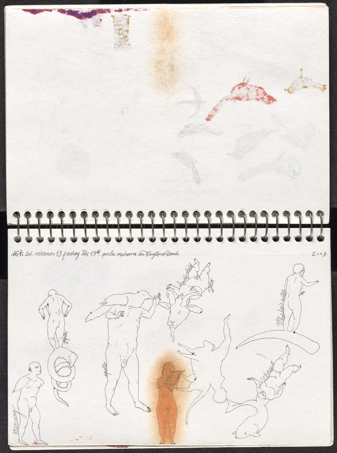 José Antonio Suárez Londoño. Metamorphoses Ovid II (Metamorfosis Ovidio II). 2003